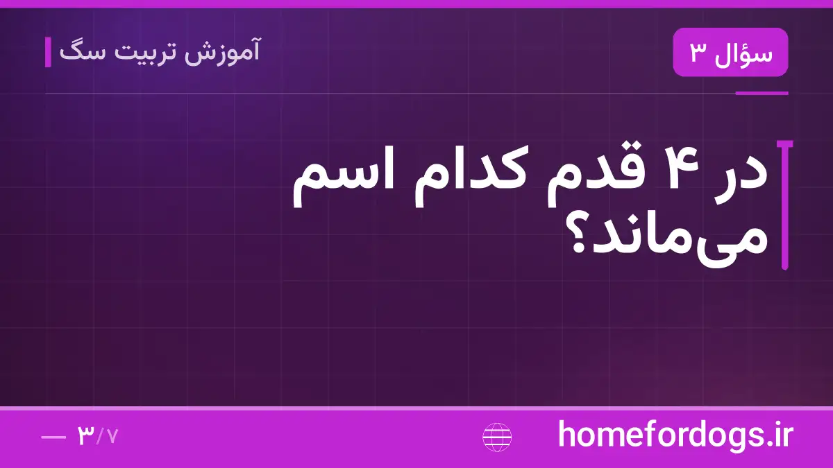 در ۴ قدم کدام اسم می‌ماند؟