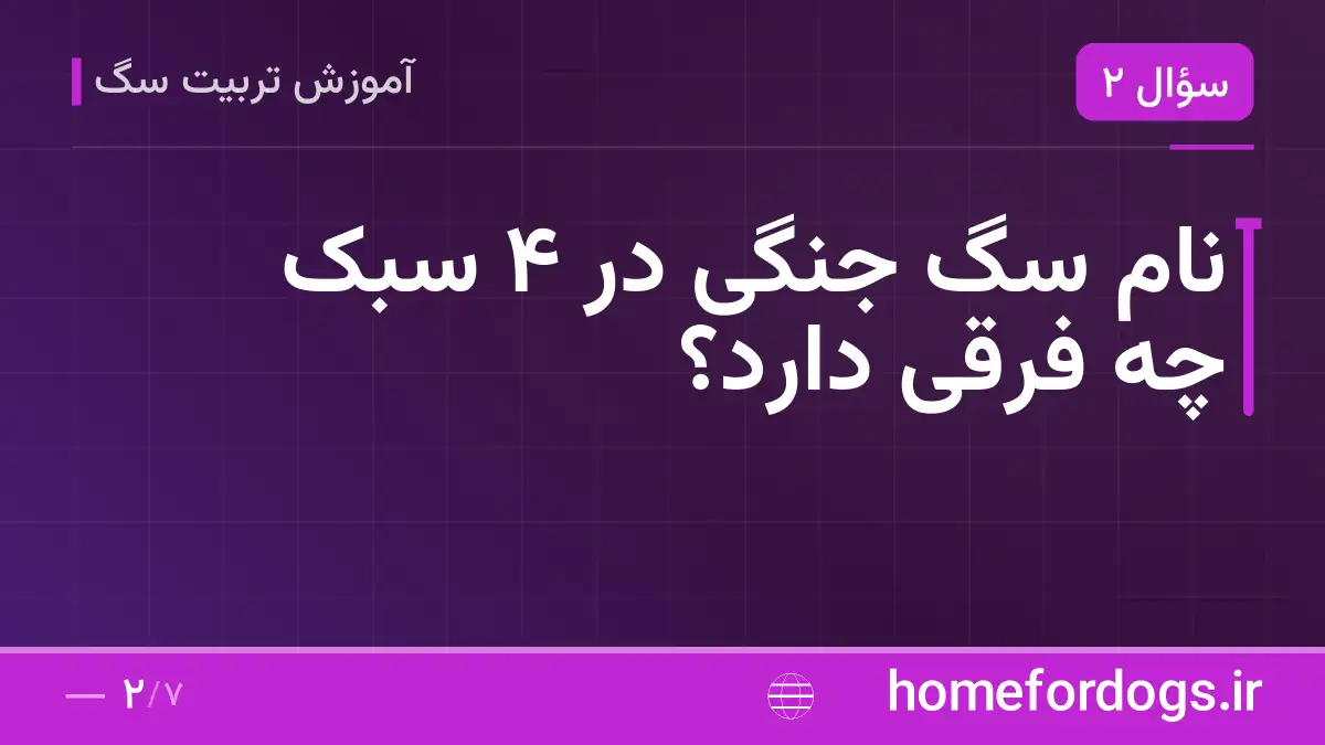 نام سگ جنگی در ۴ سبک چه فرقی دارد؟