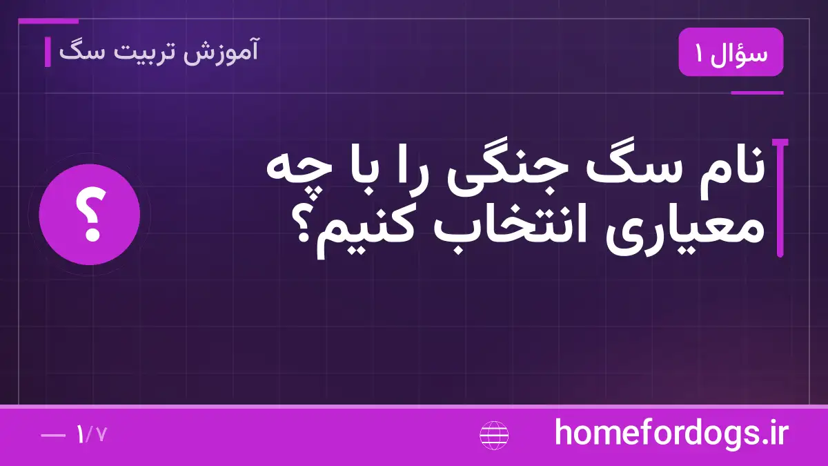 نام سگ جنگی را با چه معیاری انتخاب کنیم؟