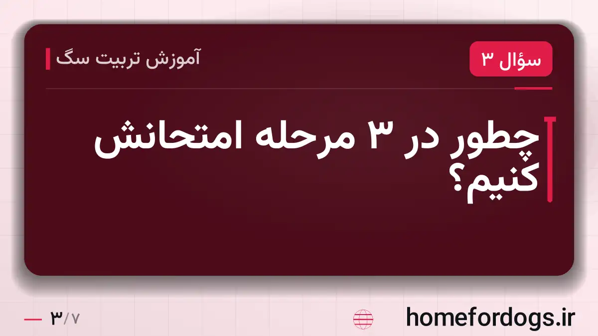 چطور در ۳ مرحله امتحانش کنیم؟