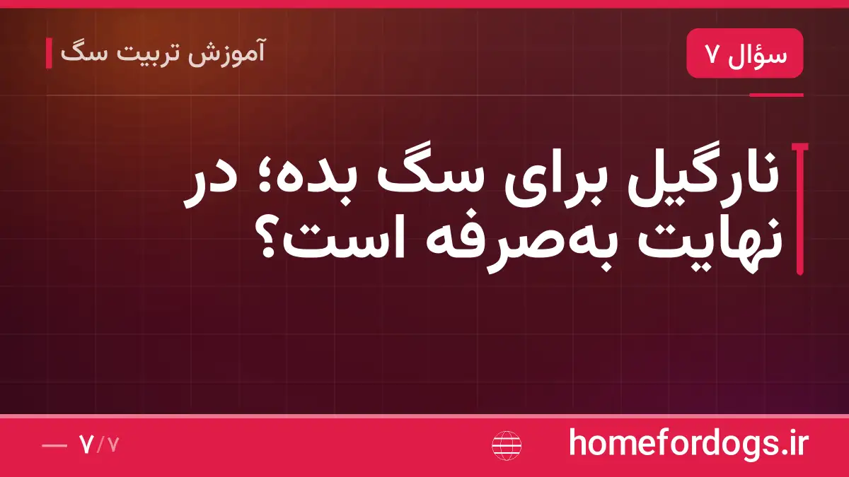 نارگیل برای سگ بده؛ در نهایت بهصرفه است؟