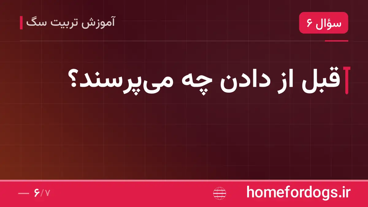 قبل از دادن چه میپرسند؟