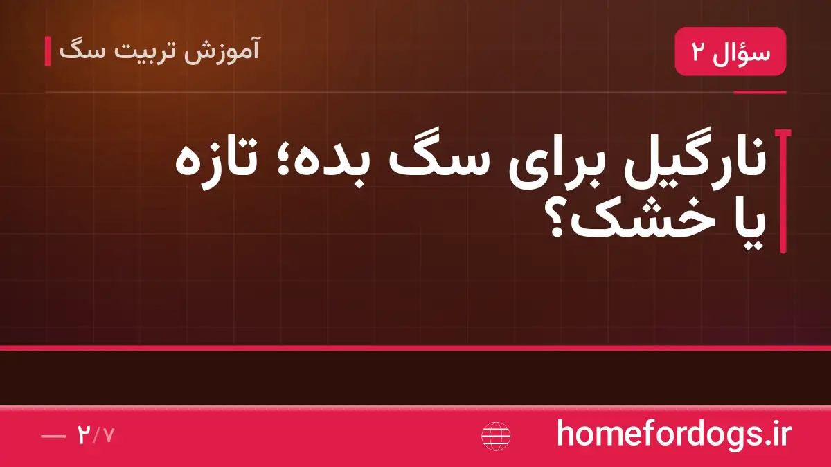 نارگیل برای سگ بده؛ تازه یا خشک؟