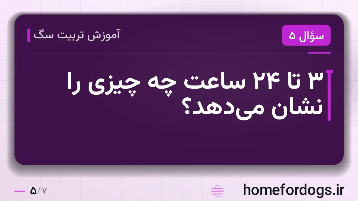۳ تا ۲۴ ساعت چه چیزی را نشان میدهد؟