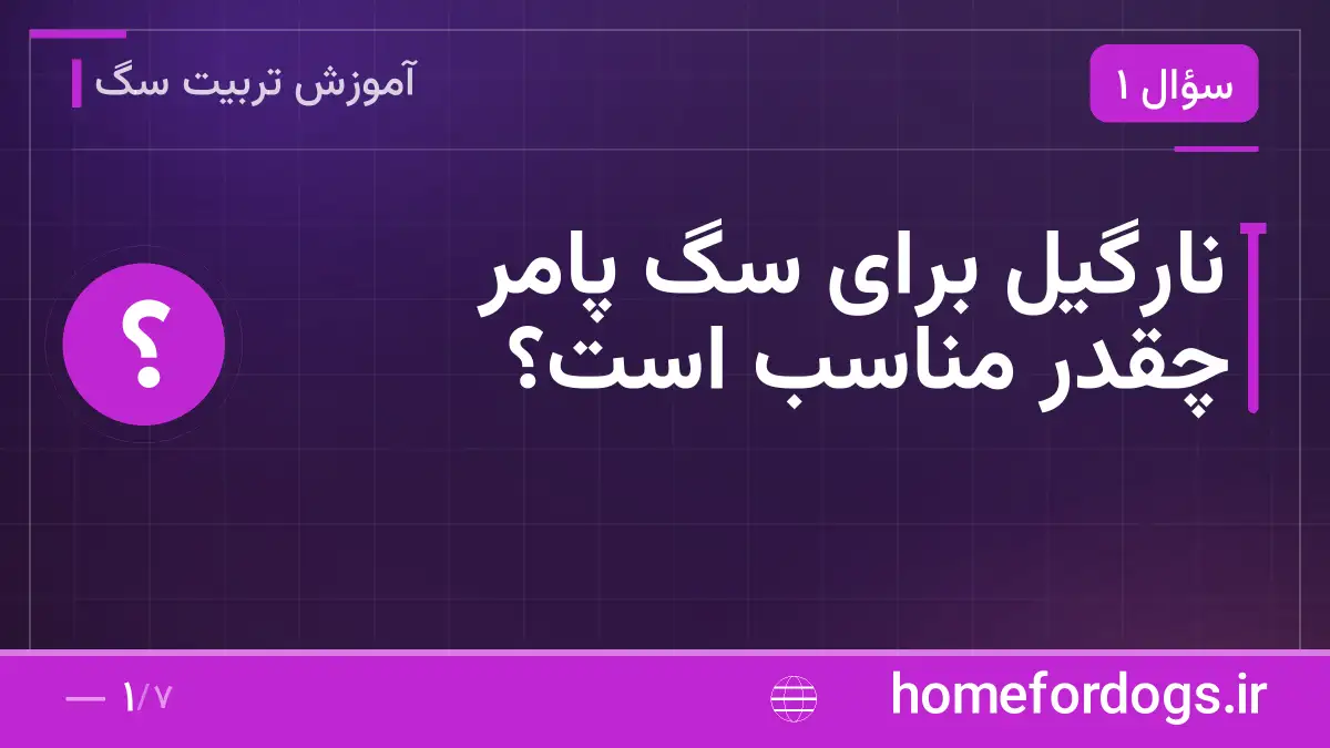 نارگیل برای سگ پامر چقدر مناسب است؟