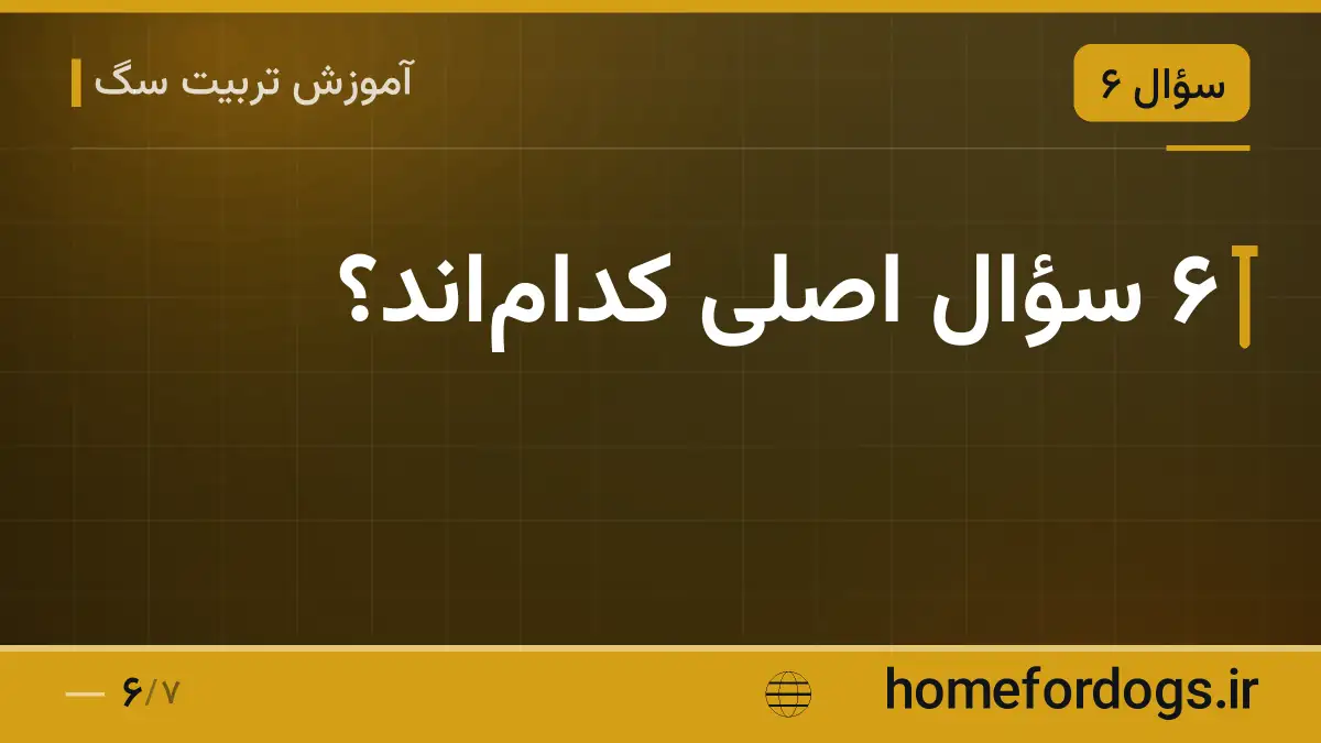 ۶ سؤال اصلی کدام‌اند؟