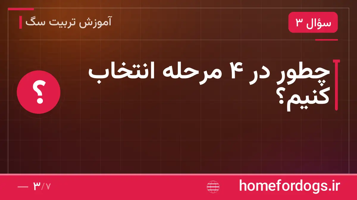 چطور در ۴ مرحله انتخاب کنیم؟