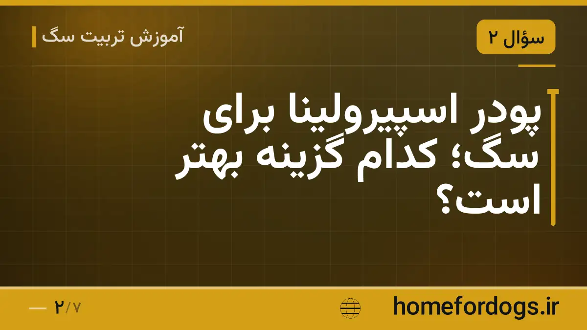 پودر اسپیرولینا برای سگ؛ کدام گزینه بهتر است؟