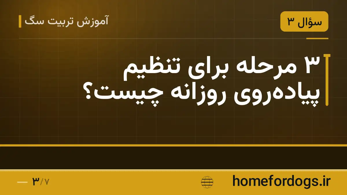 ۳ مرحله برای تنظیم پیادهروی روزانه چیست؟