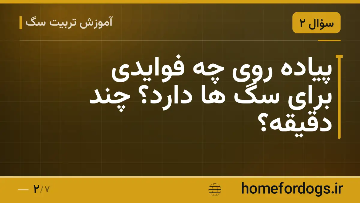پیاده روی چه فوایدی برای سگ ها دارد؟ چند دقیقه؟