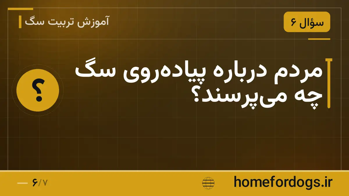 مردم درباره پیادهروی سگ چه میپرسند؟