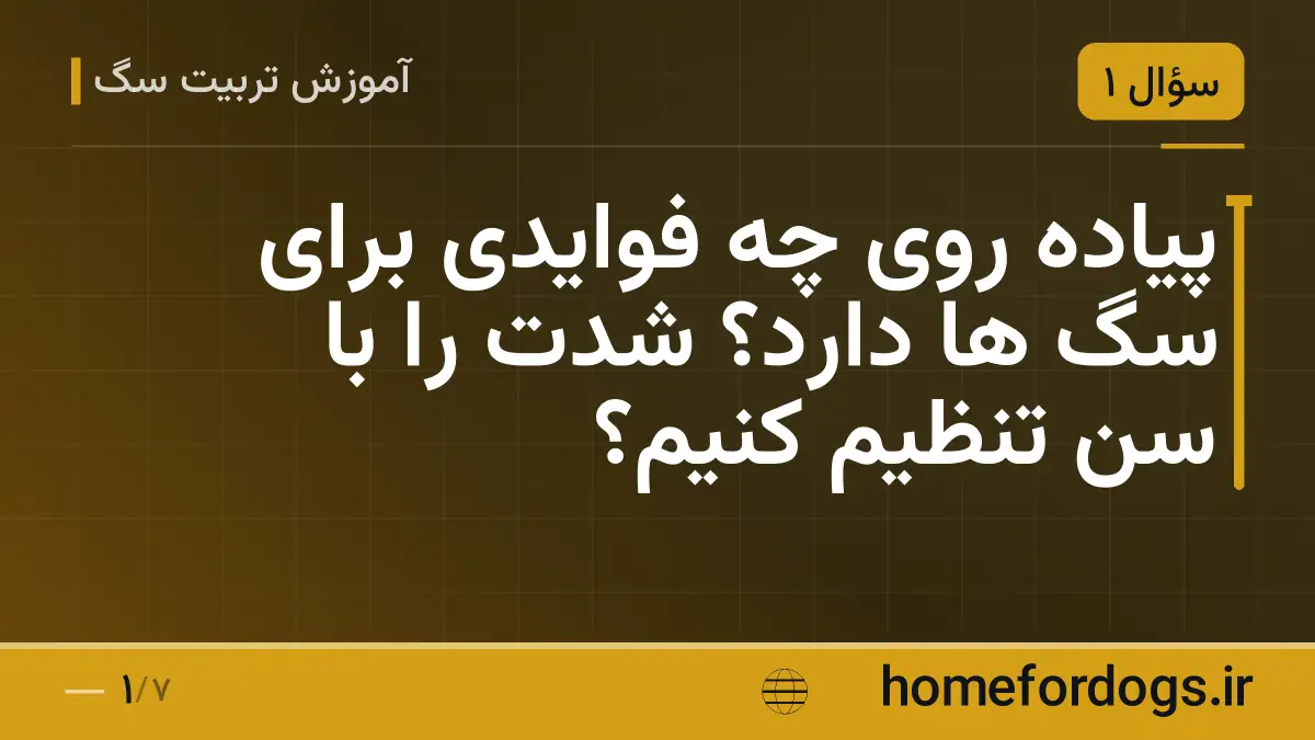 پیاده روی چه فوایدی برای سگ ها دارد؟ شدت را با سن تنظیم کنیم؟