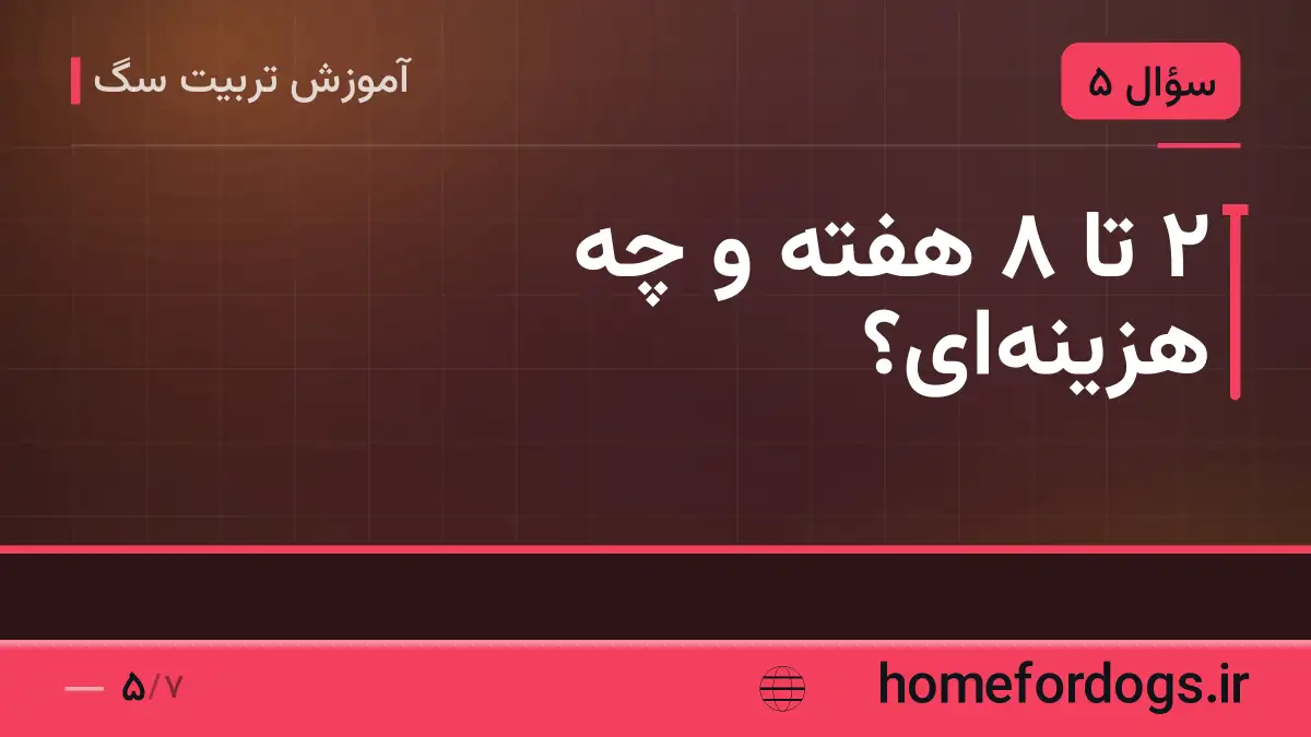 ۲ تا ۸ هفته و چه هزینه‌ای؟