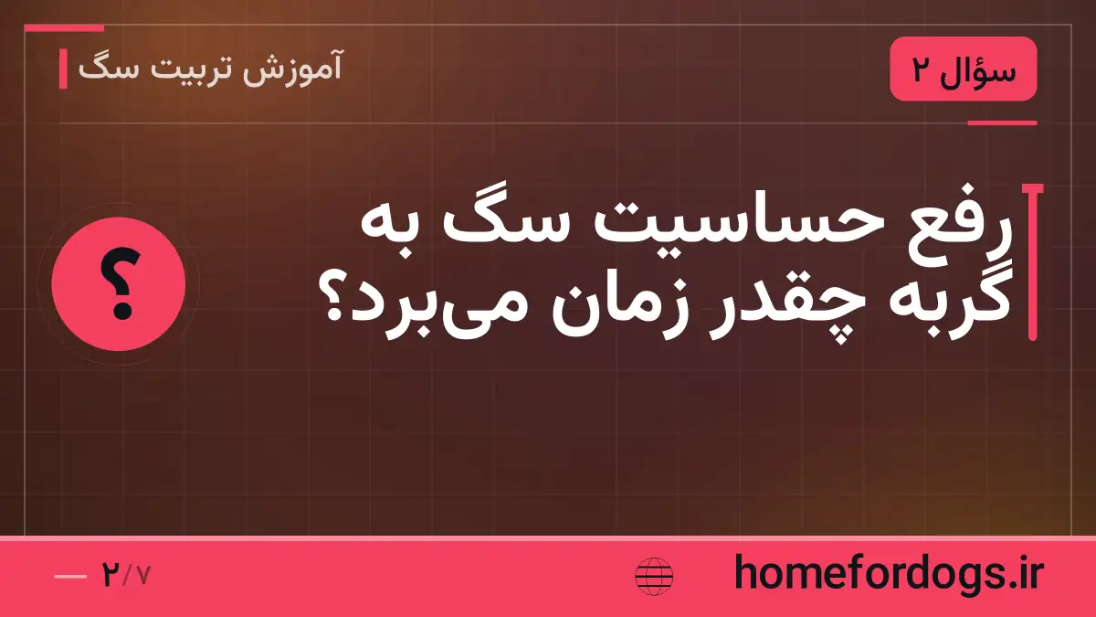 رفع حساسیت سگ به گربه چقدر زمان می‌برد؟