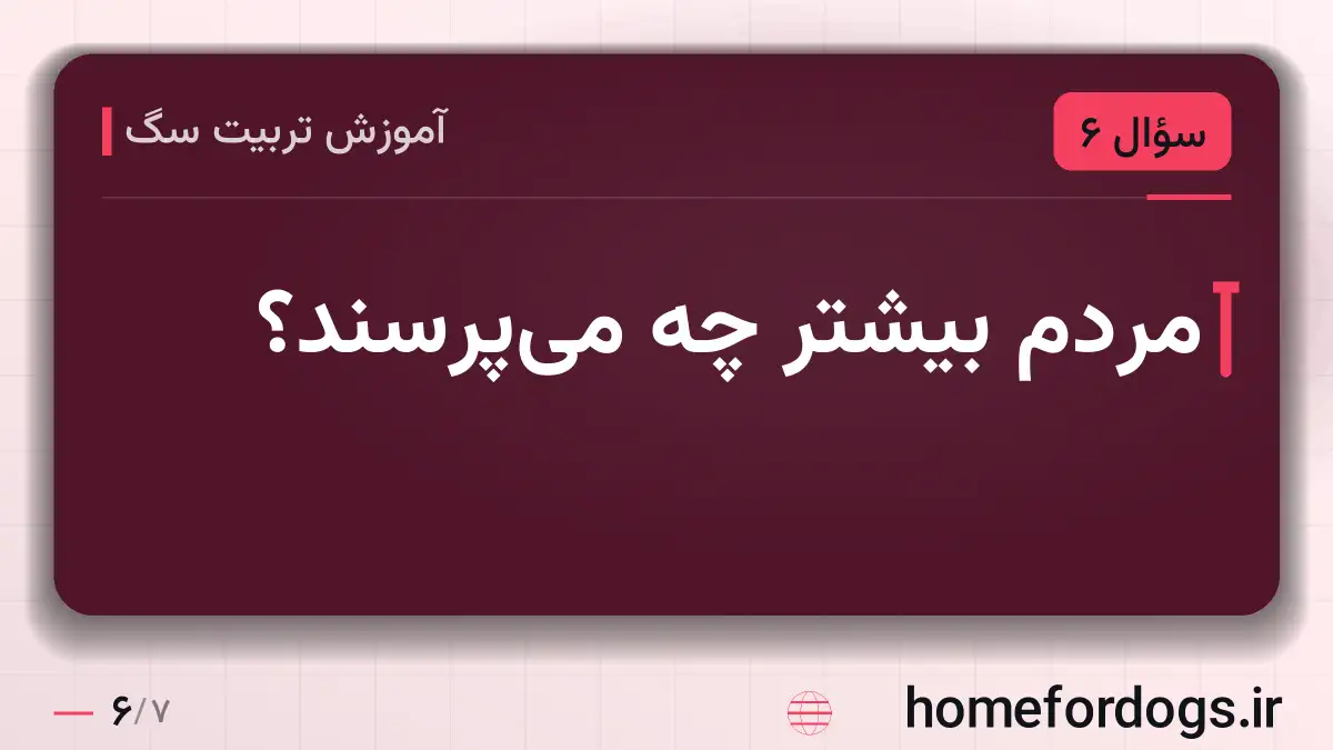 مردم بیشتر چه می‌پرسند؟