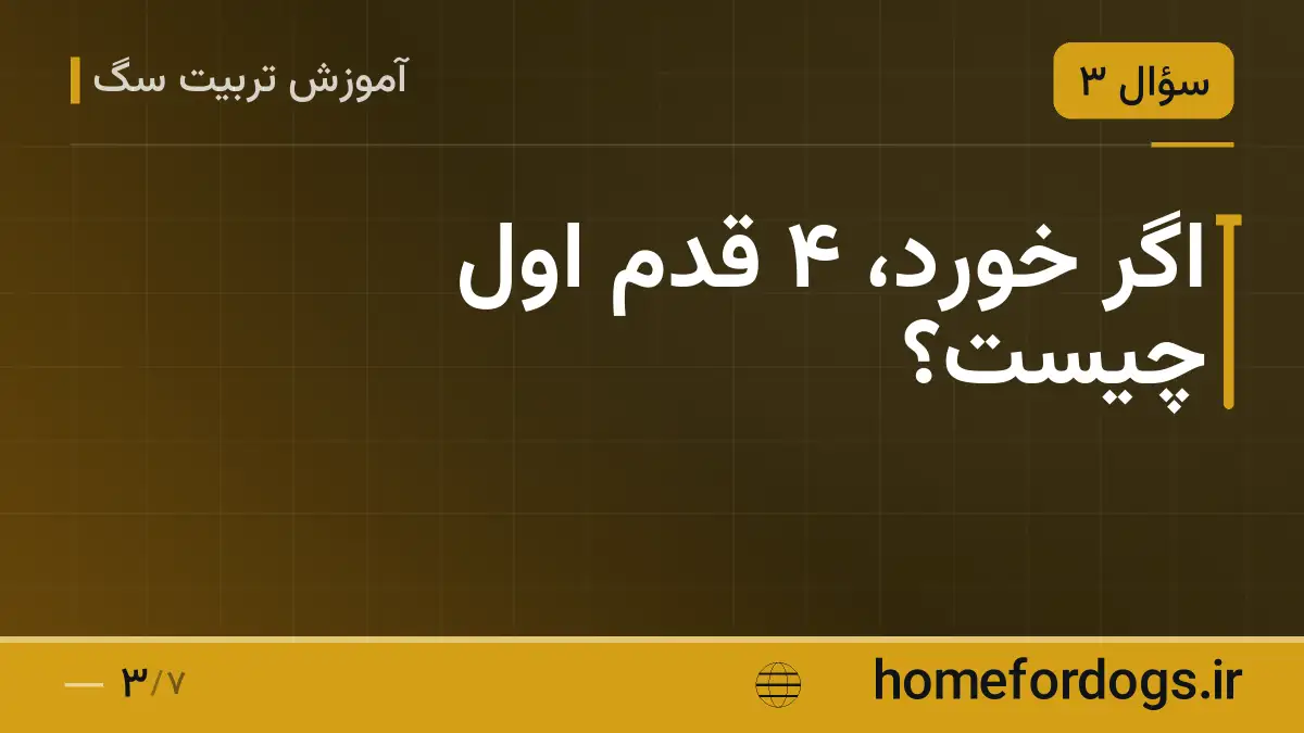 اگر خورد، ۴ قدم اول چیست؟
