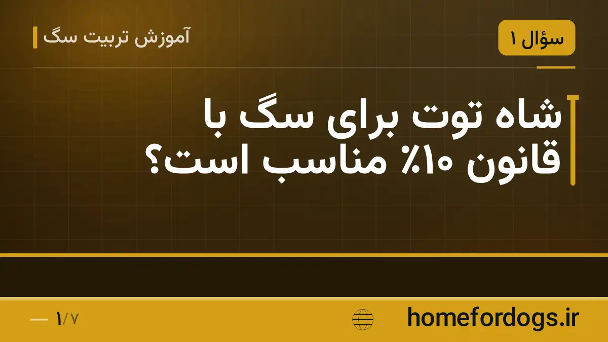 شاه توت برای سگ با قانون ۱۰٪ مناسب است؟