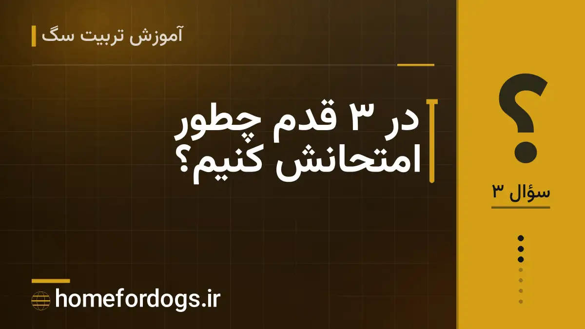 در ۳ قدم چطور امتحانش کنیم؟