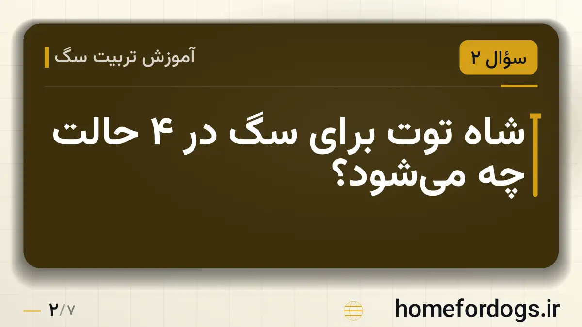 شاه توت برای سگ در ۴ حالت چه می‌شود؟