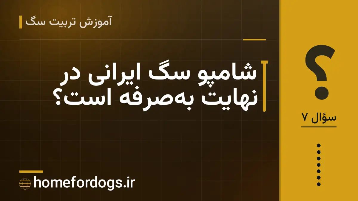 شامپو سگ ایرانی در نهایت به‌صرفه است؟