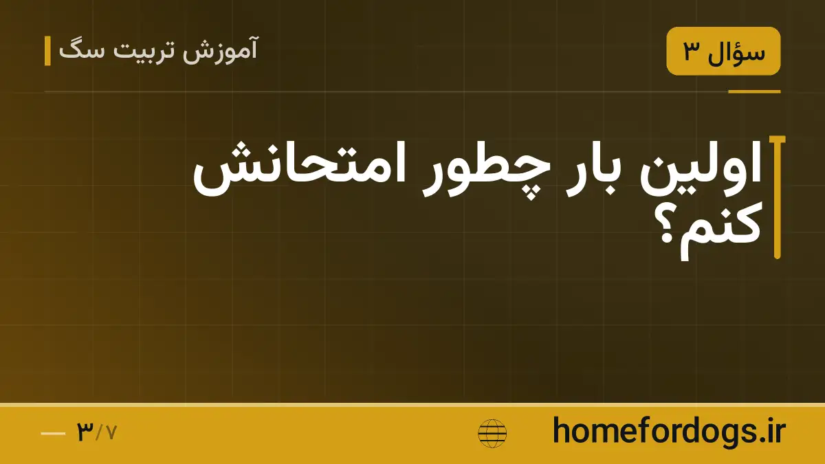 اولین بار چطور امتحانش کنم؟