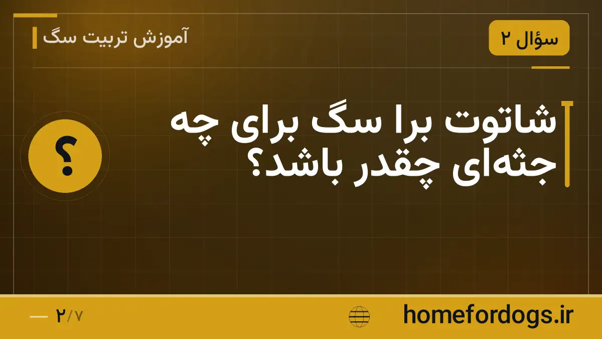 شاتوت برا سگ برای چه جثه‌ای چقدر باشد؟