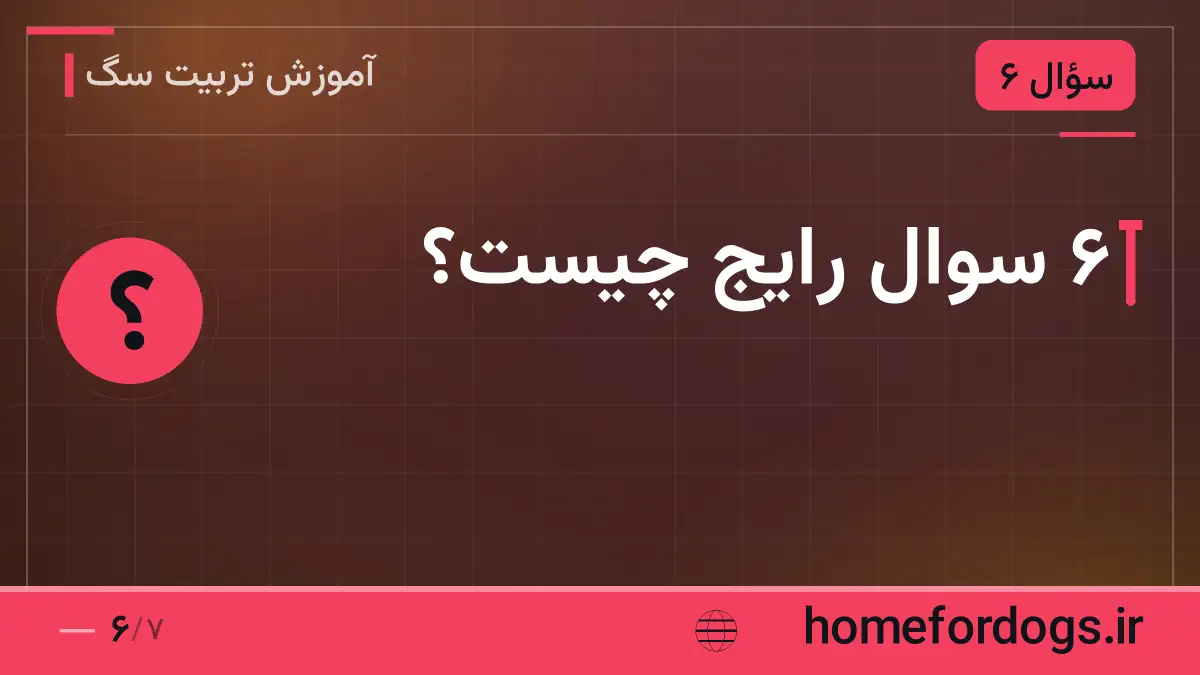 ۶ سوال رایج چیست؟