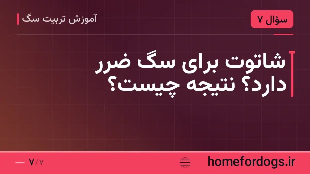 شاتوت برای سگ ضرر دارد؟ نتیجه چیست؟