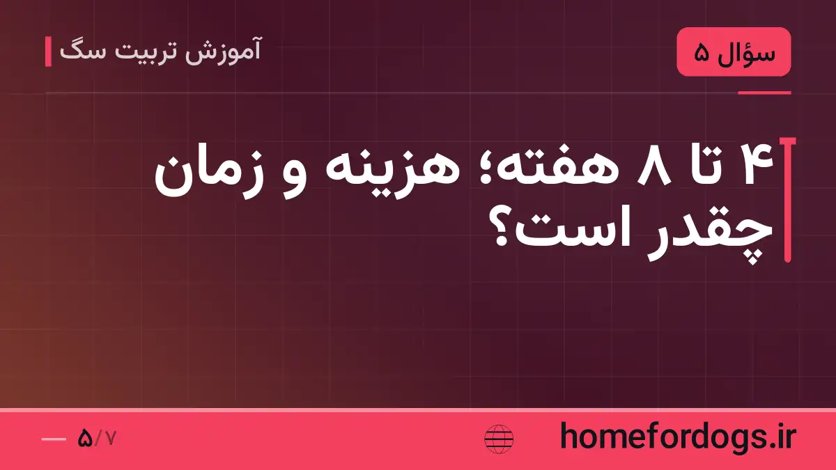 ۴ تا ۸ هفته؛ هزینه و زمان چقدر است؟