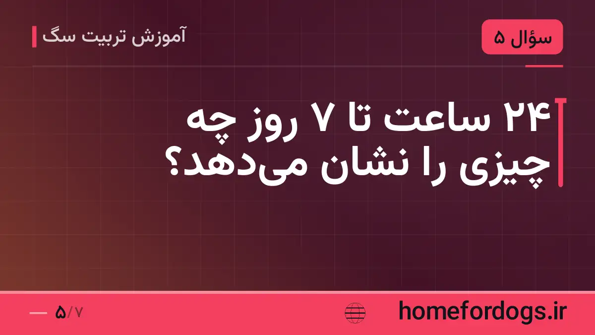 ۲۴ ساعت تا ۷ روز چه چیزی را نشان می‌دهد؟