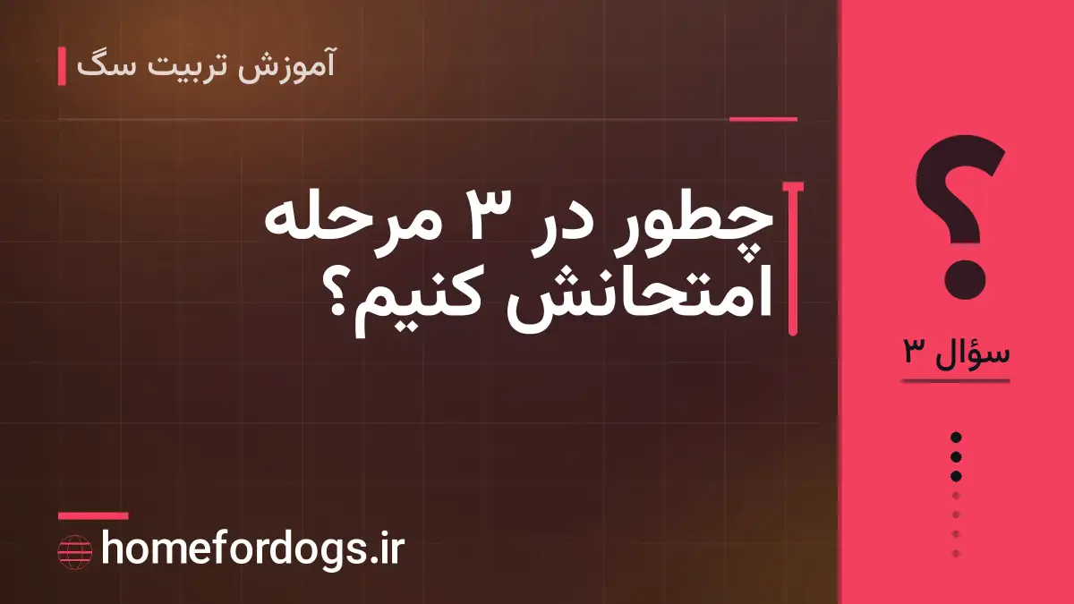 چطور در ۳ مرحله امتحانش کنیم؟