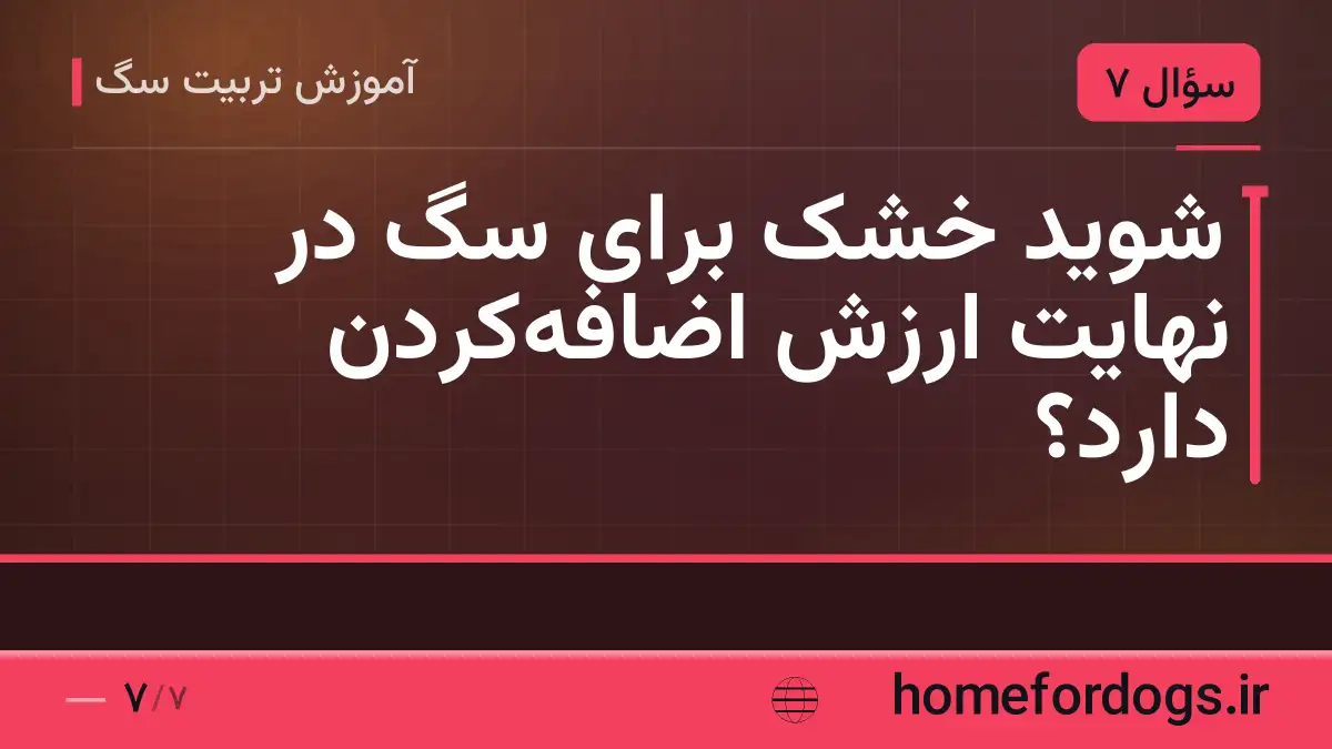 شوید خشک برای سگ در نهایت ارزش اضافه‌کردن دارد؟