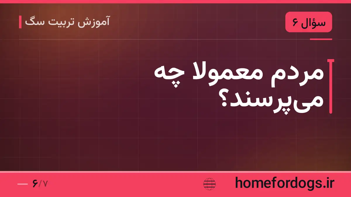 مردم معمولاً چه می‌پرسند؟