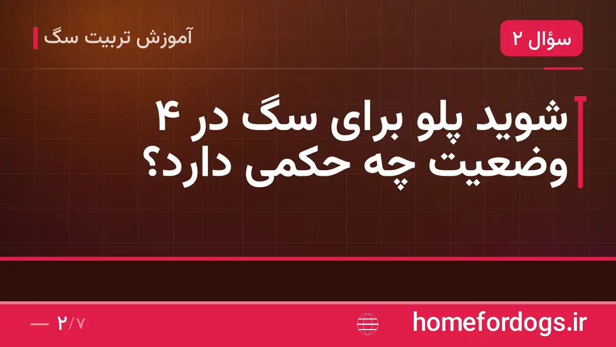 شوید پلو برای سگ در ۴ وضعیت چه حکمی دارد؟