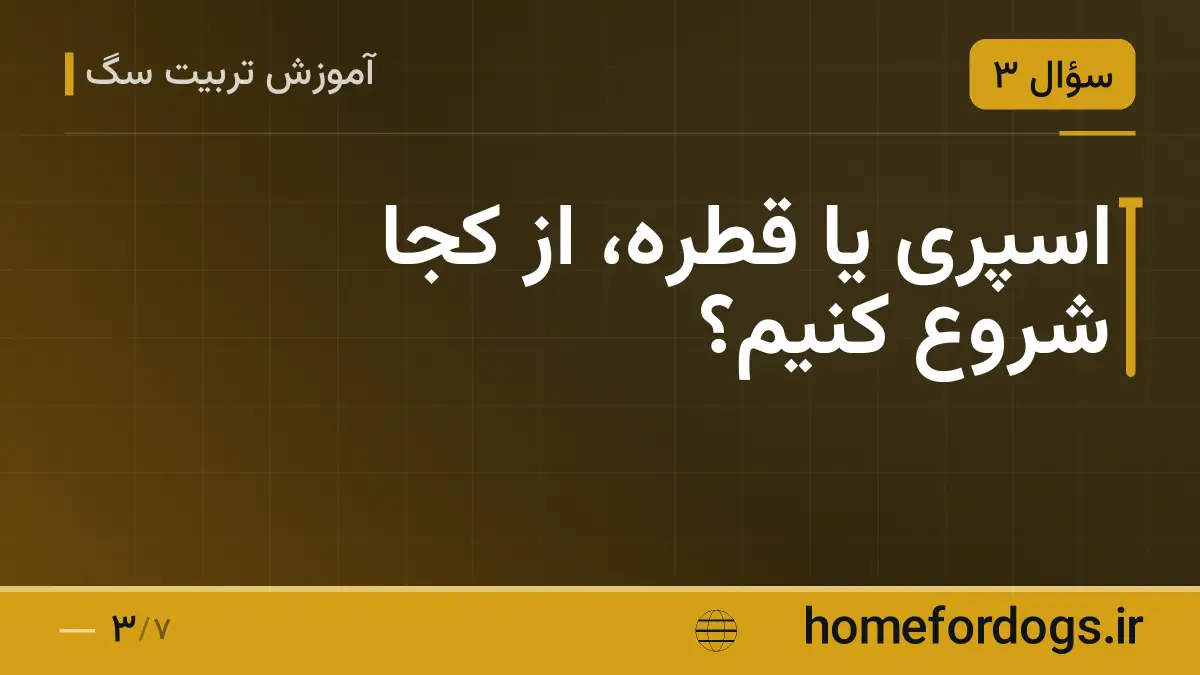 اسپری یا قطره، از کجا شروع کنیم؟