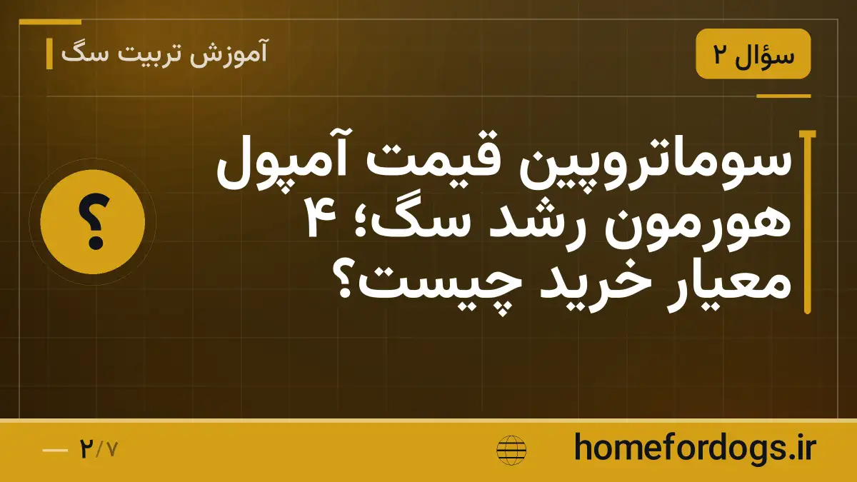 سوماتروپین قیمت آمپول هورمون رشد سگ؛ ۴ معیار خرید چیست؟