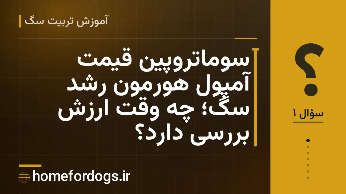 سوماتروپین قیمت آمپول هورمون رشد سگ؛ چه وقت ارزش بررسی دارد؟
