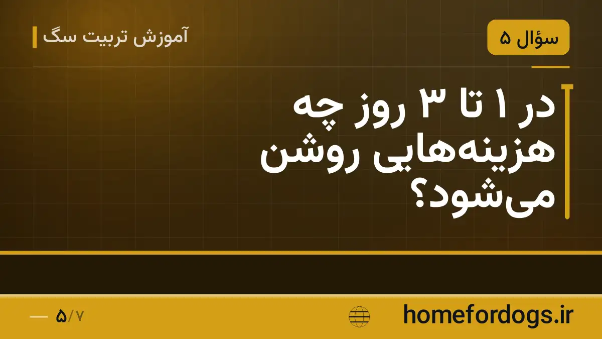 در ۱ تا ۳ روز چه هزینه‌هایی روشن می‌شود؟