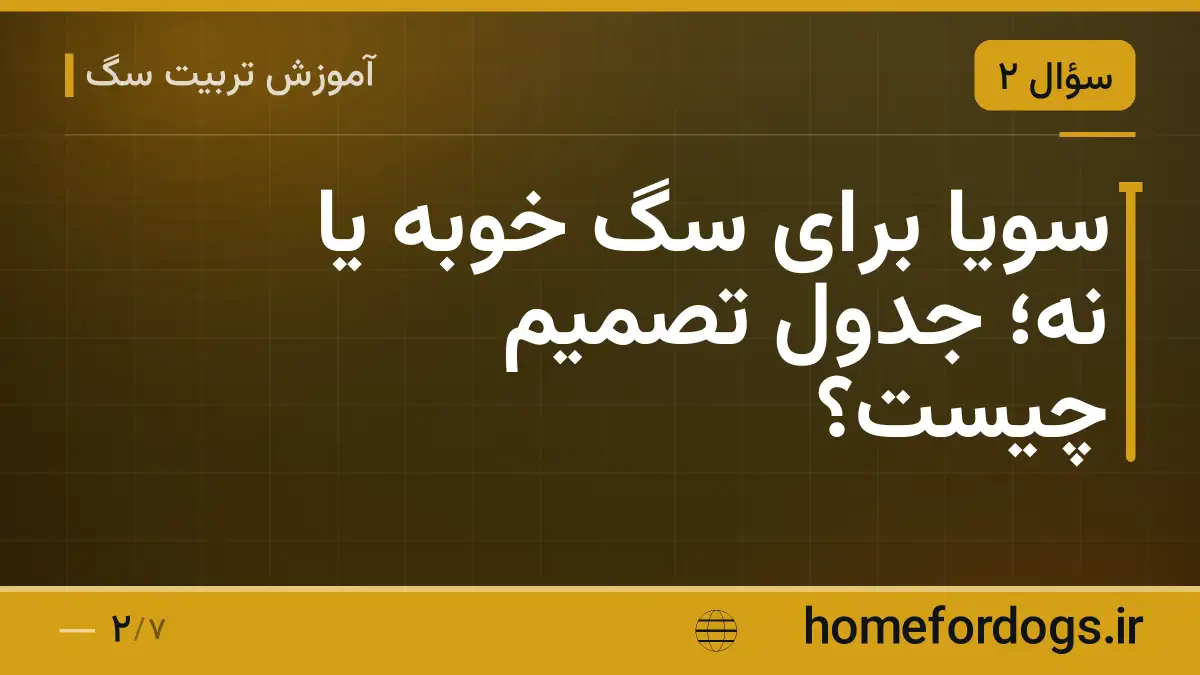 سویا برای سگ خوبه یا نه؛ جدول تصمیم چیست؟