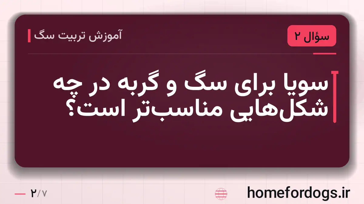 سویا برای سگ و گربه در چه شکل‌هایی مناسب‌تر است؟