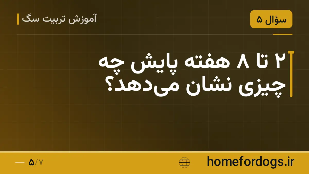 ۲ تا ۸ هفته پایش چه چیزی نشان میدهد؟