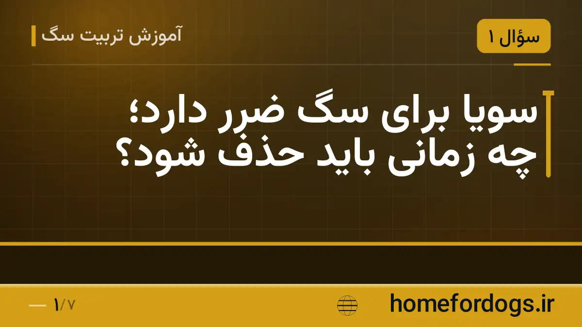 سویا برای سگ ضرر دارد؛ چه زمانی باید حذف شود؟
