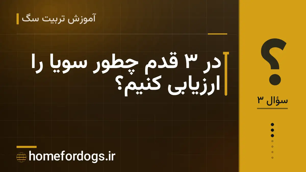در ۳ قدم چطور سویا را ارزیابی کنیم؟