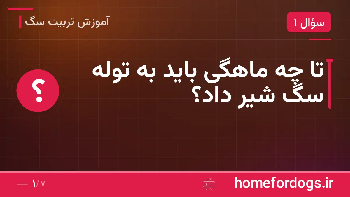 تا چه ماهگی باید به توله سگ شیر داد؟