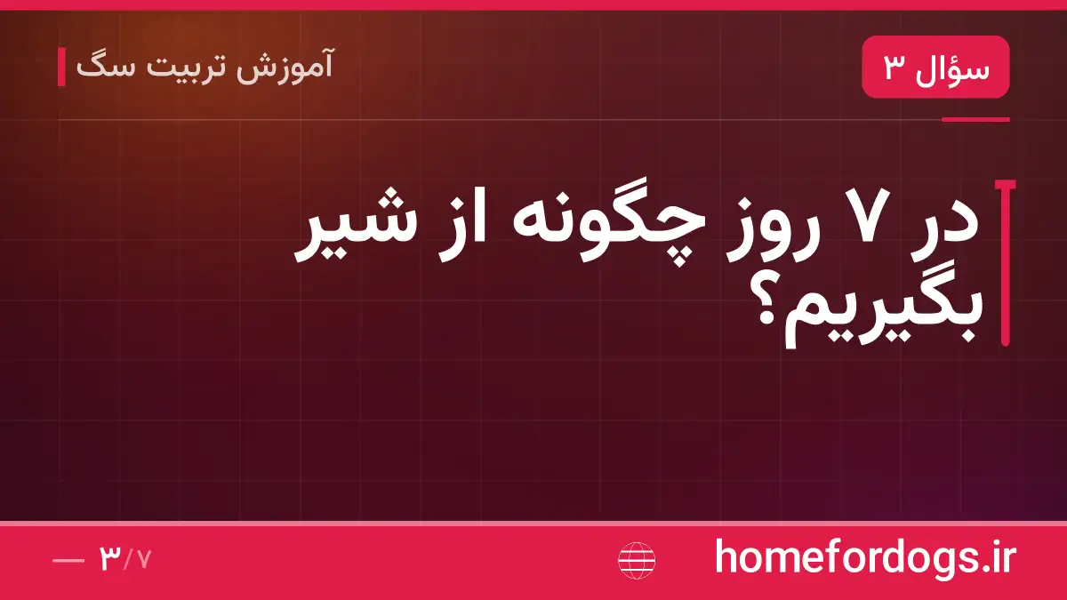 در ۷ روز چگونه از شیر بگیریم؟