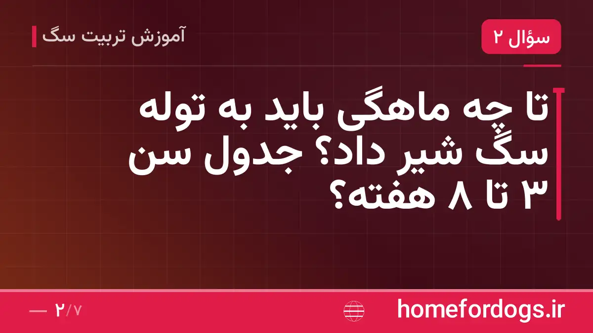 تا چه ماهگی باید به توله سگ شیر داد؟ جدول سن ۳ تا ۸ هفته؟