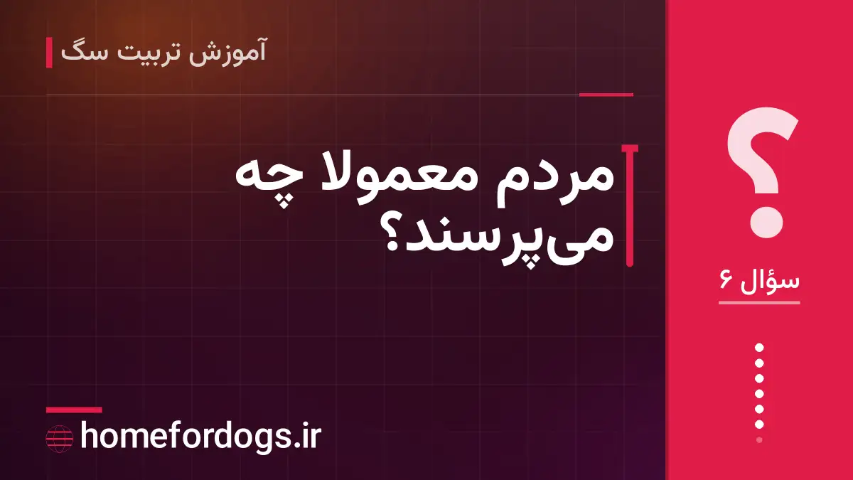 مردم معمولاً چه می‌پرسند؟