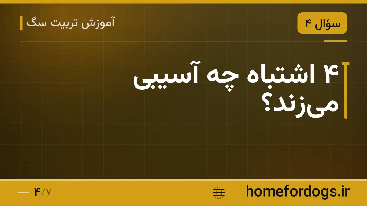 ۴ اشتباه چه آسیبی می‌زند؟