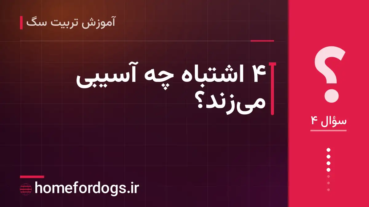 ۴ اشتباه چه آسیبی میزند؟