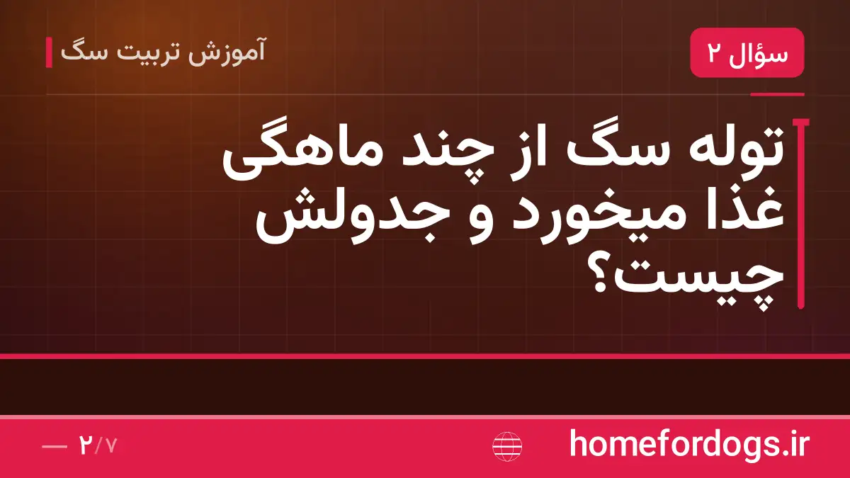 توله سگ از چند ماهگی غذا میخورد و جدولش چیست؟